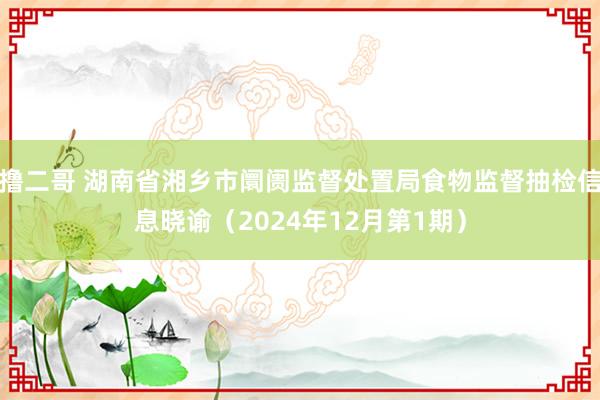 撸二哥 湖南省湘乡市阛阓监督处置局食物监督抽检信息晓谕（2024年12月第1期）