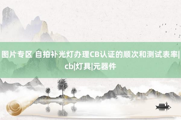 图片专区 自拍补光灯办理CB认证的顺次和测试表率|cb|灯具|元器件
