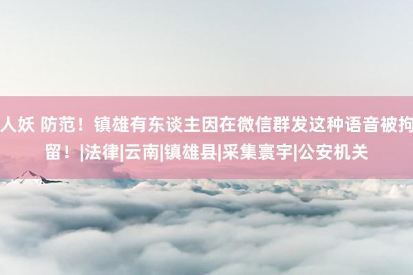 人妖 防范！镇雄有东谈主因在微信群发这种语音被拘留！|法律|云南|镇雄县|采集寰宇|公安机关