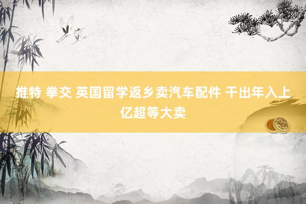 推特 拳交 英国留学返乡卖汽车配件 干出年入上亿超等大卖