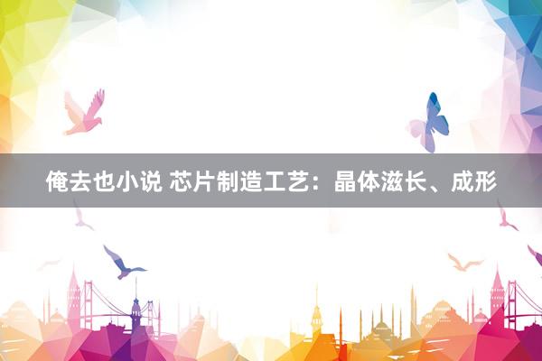 俺去也小说 芯片制造工艺：晶体滋长、成形