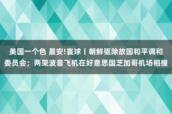 美国一个色 晨安!寰球丨朝鲜驱除故国和平调和委员会；两架波音飞机在好意思国芝加哥机场相撞