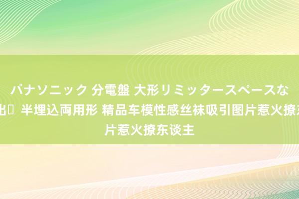 パナソニック 分電盤 大形リミッタースペースなし 露出・半埋込両用形 精品车模性感丝袜吸引图片惹火撩东谈主