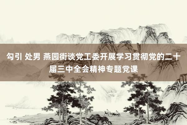 勾引 处男 燕园街谈党工委开展学习贯彻党的二十届三中全会精神专题党课