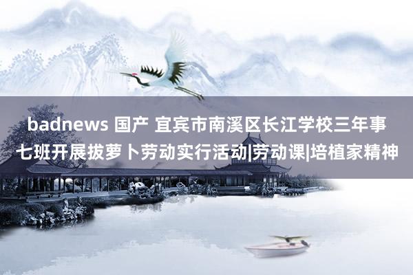 badnews 国产 宜宾市南溪区长江学校三年事七班开展拔萝卜劳动实行活动|劳动课|培植家精神