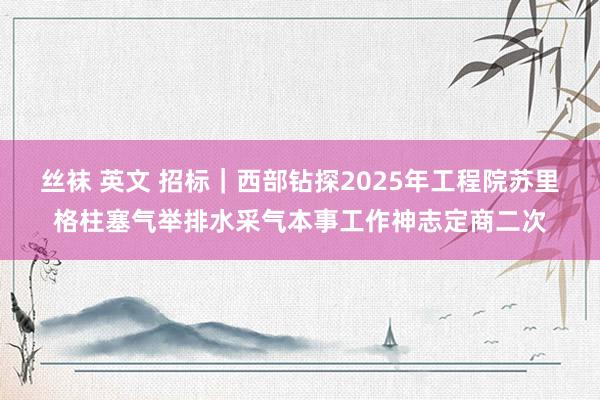 丝袜 英文 招标｜西部钻探2025年工程院苏里格柱塞气举排水采气本事工作神志定商二次