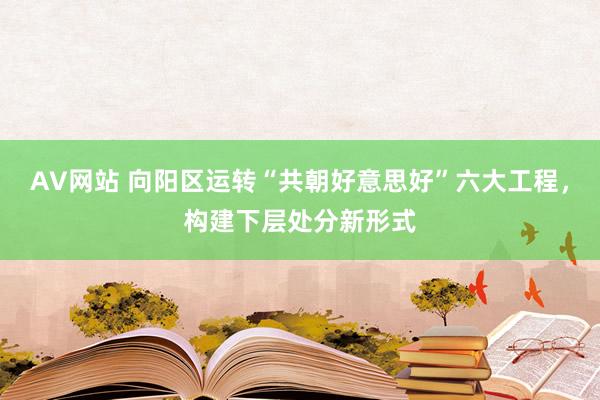 AV网站 向阳区运转“共朝好意思好”六大工程，构建下层处分新形式