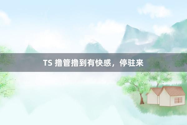 TS 撸管撸到有快感，停驻来