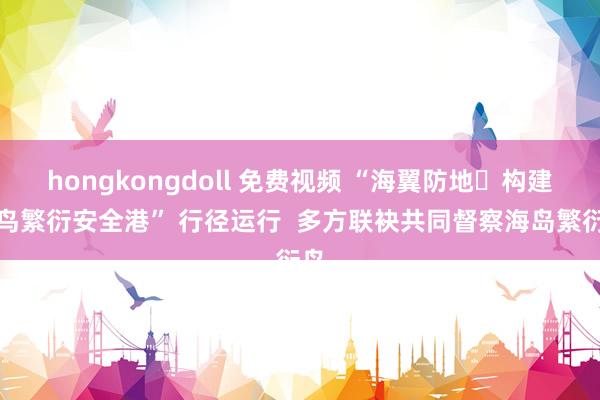 hongkongdoll 免费视频 “海翼防地・构建海鸟繁衍安全港” 行径运行  多方联袂共同督察海岛繁衍鸟