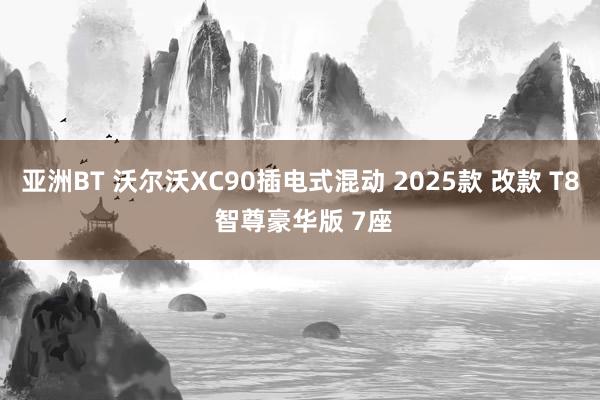 亚洲BT 沃尔沃XC90插电式混动 2025款 改款 T8 智尊豪华版 7座