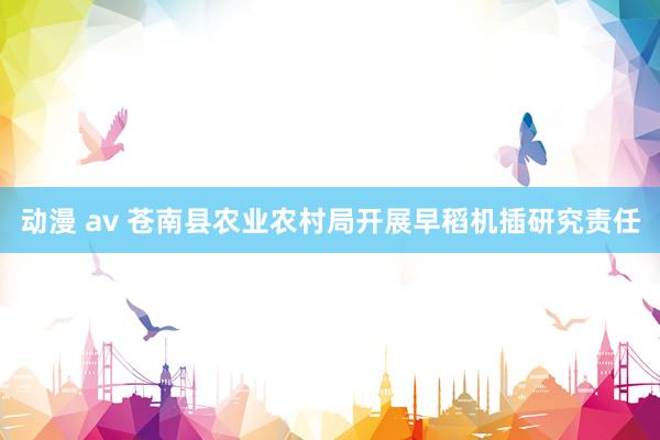 动漫 av 苍南县农业农村局开展早稻机插研究责任