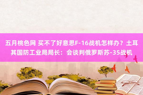 五月桃色网 买不了好意思F-16战机怎样办？土耳其国防工业局局长：会谈判俄罗斯苏-35战机