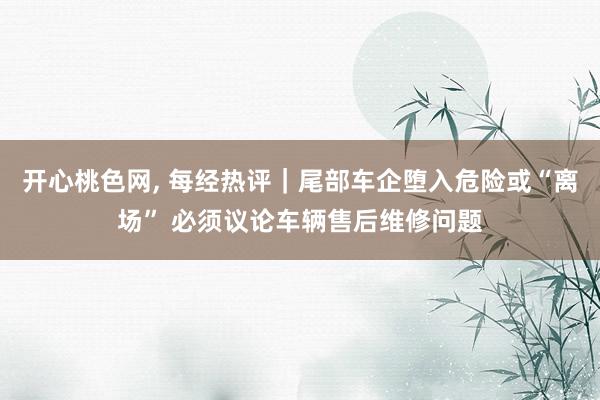 开心桃色网， 每经热评｜尾部车企堕入危险或“离场” 必须议论车辆售后维修问题