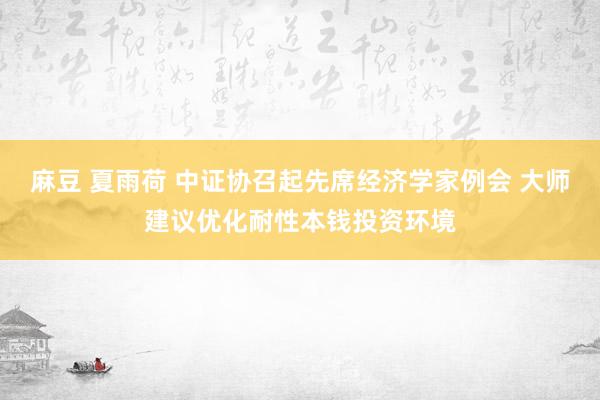 麻豆 夏雨荷 中证协召起先席经济学家例会 大师建议优化耐性本钱投资环境