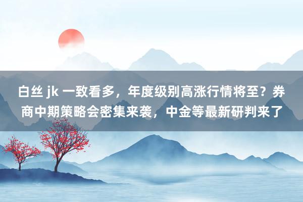 白丝 jk 一致看多，年度级别高涨行情将至？券商中期策略会密集来袭，中金等最新研判来了