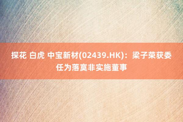 探花 白虎 中宝新材(02439.HK)：梁子荣获委任为落寞非实施董事