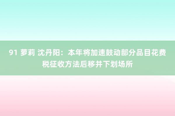 91 萝莉 沈丹阳：本年将加速鼓动部分品目花费税征收方法后移并下划场所