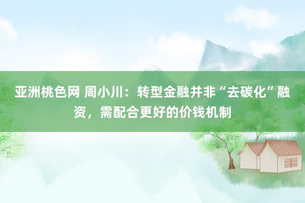 亚洲桃色网 周小川：转型金融并非“去碳化”融资，需配合更好的价钱机制