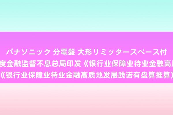 パナソニック 分電盤 大形リミッタースペース付 露出・半埋込両用形 国度金融监督不息总局印发《银行业保障业待业金融高质地发展践诺有盘算推算》